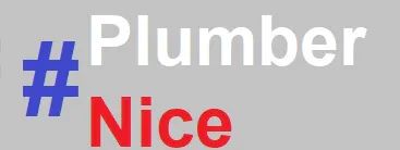 plumber nice website
